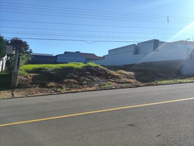 Terreno para Venda, em Porto, bairro Porto Velho