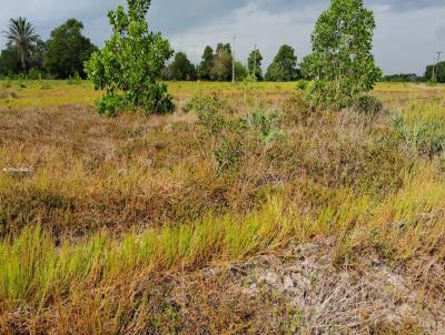 Terreno para Venda, em Nova Viosa, bairro abrolhos