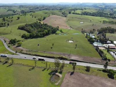 Chcara para Venda, em Santo Antnio da Platina, bairro BR 153