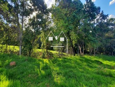 Fazenda para Venda, em Oliveira, bairro Zona Rural