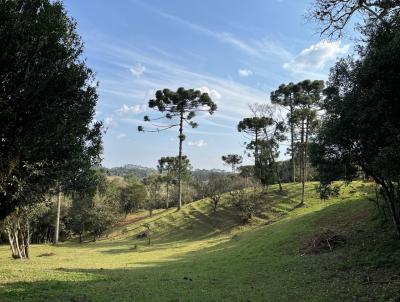 Terreno para Venda, em So Bento do Sul, bairro Rio Vermelho Estao