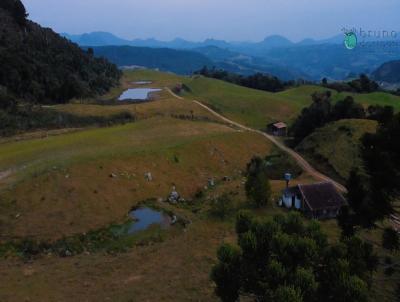 Stio para Venda, em Alfredo Wagner, bairro ZONA RURAL, 2 dormitrios, 1 banheiro