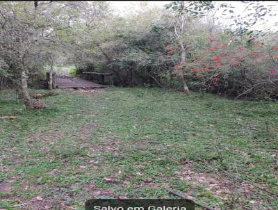 Chcara para Venda, em Santana do Livramento, bairro Passo do mingote