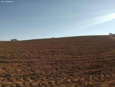Stio para Venda, em Bueno Brando, bairro RURAL