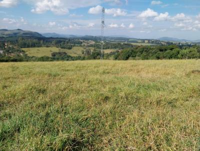 rea para Venda, em Bragana Paulista, bairro RURAL