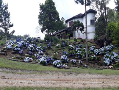 Fazenda para Venda, em Guapiara, bairro Centro