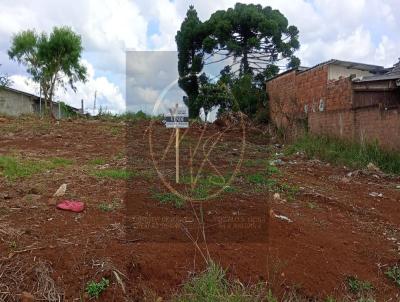 Terreno para Venda, em , bairro IMPERIAL