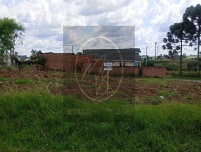Terreno para Venda, em Vacaria, bairro IMPERIAL