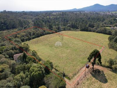 Chcara para Venda, em Piraquara, bairro Planta Meireles