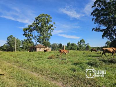 Stio / Chcara para Venda, em Amaral Ferrador, bairro Interior