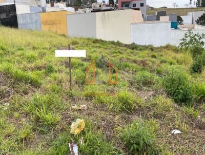 imagem-miniatura