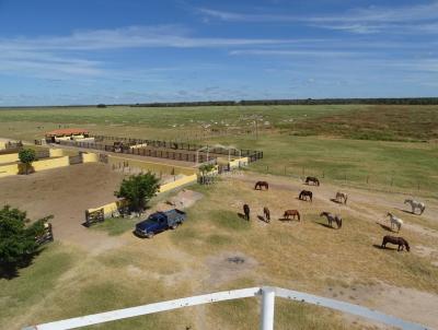 Fazenda para Venda, em , bairro ZONA RURAL