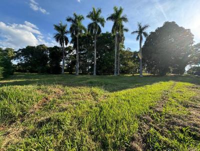 Terreno para Venda, em Bragana Paulista, bairro Jardim das Palmeiras