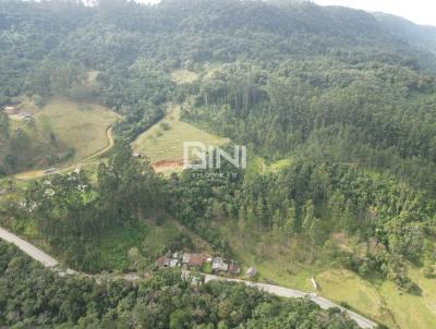 Terreno Rural para Venda, em Rio do Sul, bairro Itoupava