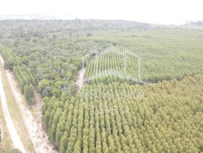 Fazenda para Venda, em Joo Pinheiro, bairro ZONA RURAL