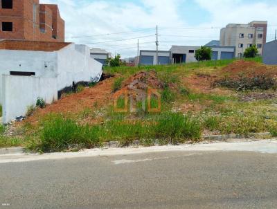 imagem-miniatura