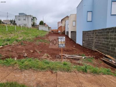 Terreno para Venda, em Erechim, bairro DONA OLGA