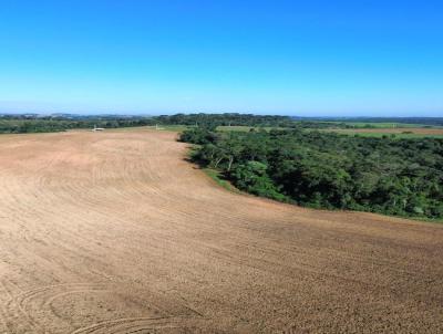 rea Rural para Venda, em Lapa, bairro RURAL