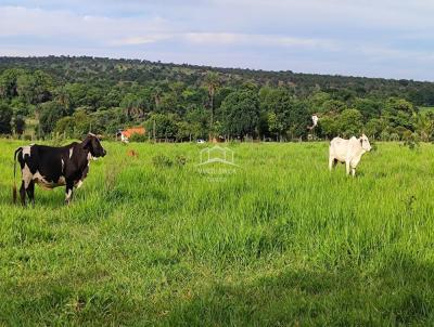 Chcara para Venda, em Montes Claros, bairro ZONA RURAL