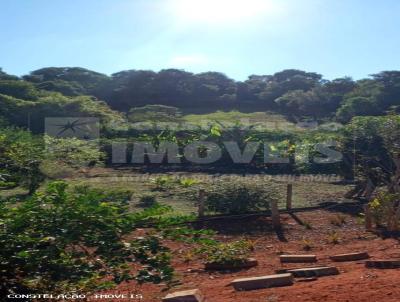 Terreno para Venda, em Bragana Paulista, bairro Campo Novo