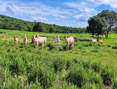 Fazenda para Venda, em Francisco S, bairro ZONA RURAL