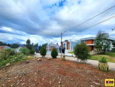 Terreno para Venda, em Nova Petrpolis, bairro Recanto do Sossego