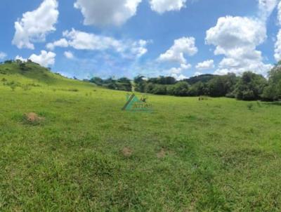 Terreno Rural para Venda, em Candeias, bairro Alta Vila