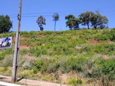 Terreno Comercial para Venda, em Francisco Beltro, bairro INDUSTRIAL