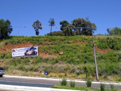 Terreno para Venda, em Francisco Beltro, bairro INDUSTRIAL