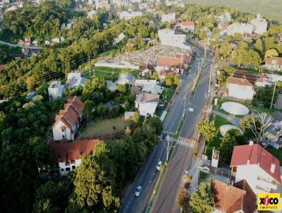 Terreno para Venda, em Nova Petrpolis, bairro Centro