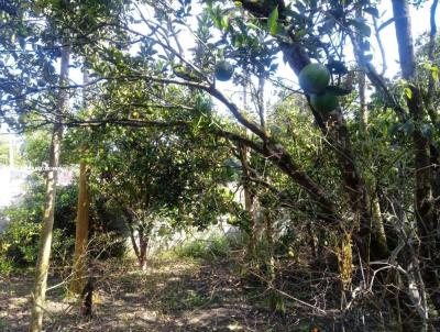 Chcara para Venda, em Mairinque, bairro Zona Rural, 2 dormitrios, 2 banheiros, 1 sute, 5 vagas