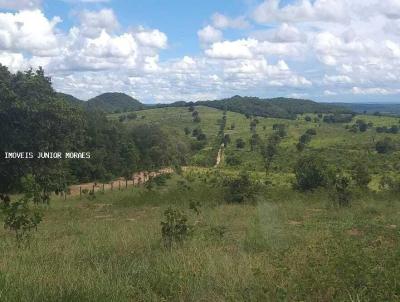 Fazenda para Venda, em Camapu, bairro Zona Rural