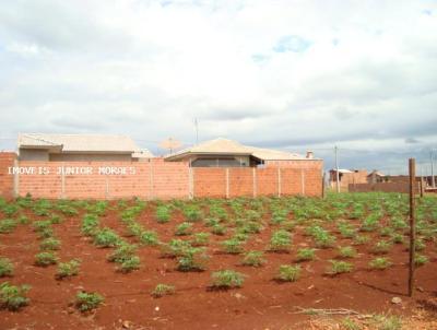 Terreno para Venda, em Palmital, bairro Park dos Anturios