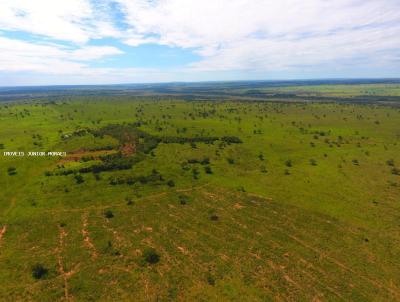 Fazenda para Venda, em Costa Rica, bairro Zona Rural