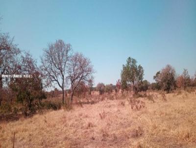 Fazenda para Venda, em Trs Lagoas, bairro Zona Rural