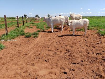 Fazenda para Venda, em Santa Rita do Pardo, bairro Zona Rural