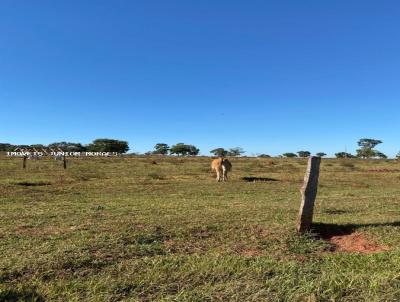 Fazenda para Venda, em Selvria, bairro Zona Rural