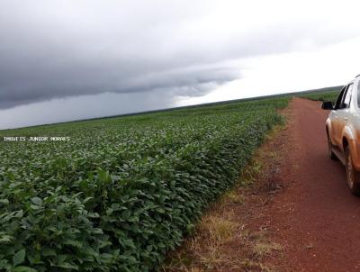 Fazenda para Venda, em Paranatinga, bairro Zona Rural