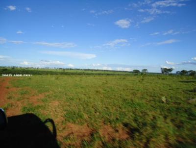 Fazenda para Venda, em Trs Lagoas, bairro Zona Rural