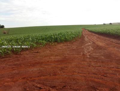 Fazenda para Venda, em Ibirarema, bairro Zona Rural