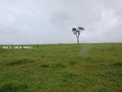 Fazenda para Venda, em Porto Murtinho, bairro Zona Rural