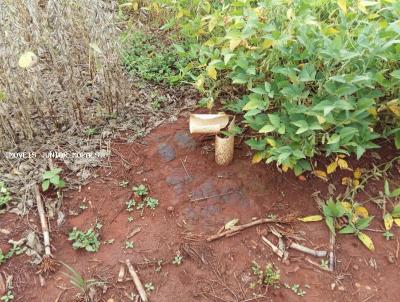 Chcara para Venda, em Palmital, bairro Zona Rural