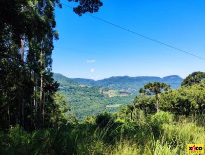 Stio / Chcara para Venda, em Nova Petrpolis, bairro Linha Brasil Fundos