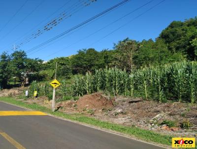 Terreno para Venda, em Picada Caf, bairro So Joo