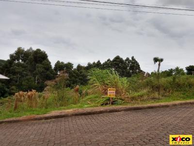 Terreno para Venda, em Nova Petrpolis, bairro BR 116