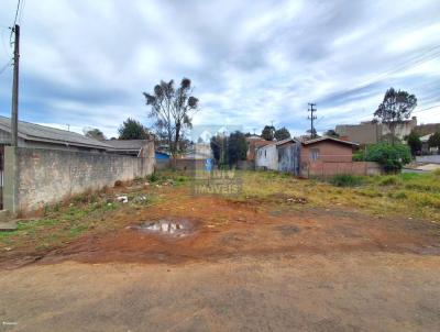 Terreno para Venda, em Guarapuava, bairro Santana