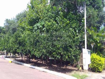 Terreno em Condomnio para Venda, em Viamo, bairro Condomnio Cantegril