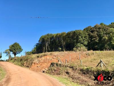 Stio / Chcara para Venda, em Nova Petrpolis, bairro Nove Colonias