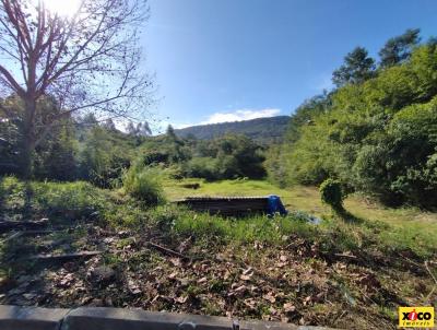 Terreno para Venda, em Picada Caf, bairro Centro