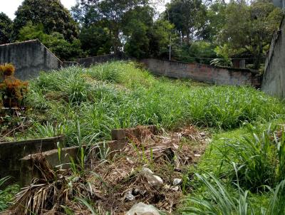 Terreno para Venda, em Niteri, bairro Argeu Fazendinha